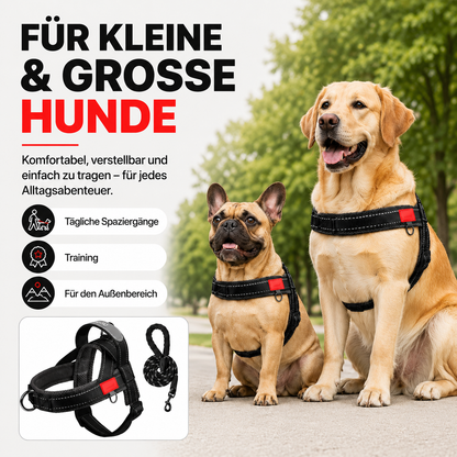 🛑 HÖR AUF, DASS DEIN HUND DICH AUSFÜHRT! 🐕‍🦺